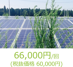 66,000円 / 回(税込)